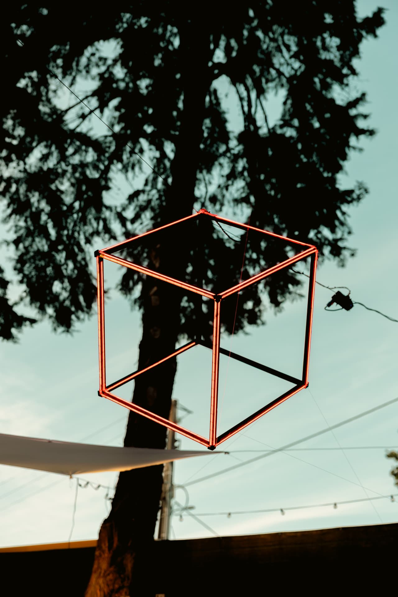 Neon cube hanging from a pine tree